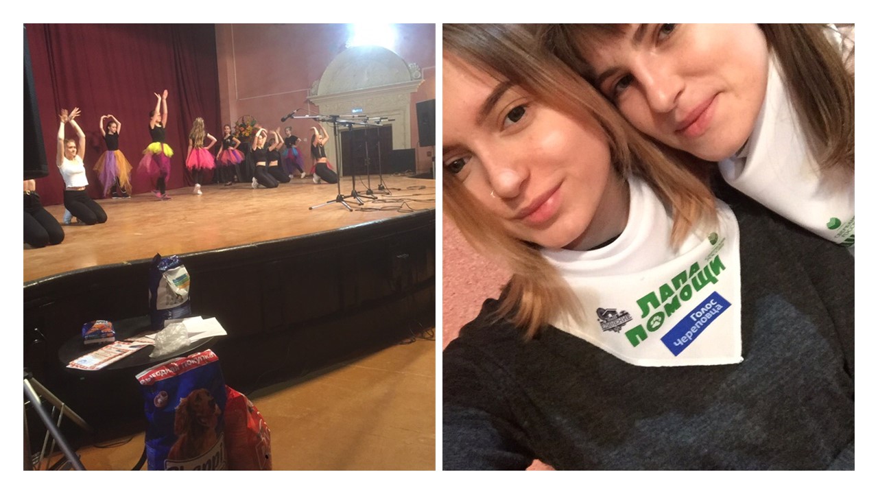 коллаж 13 апреля