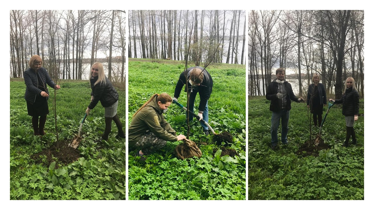 Презентация2