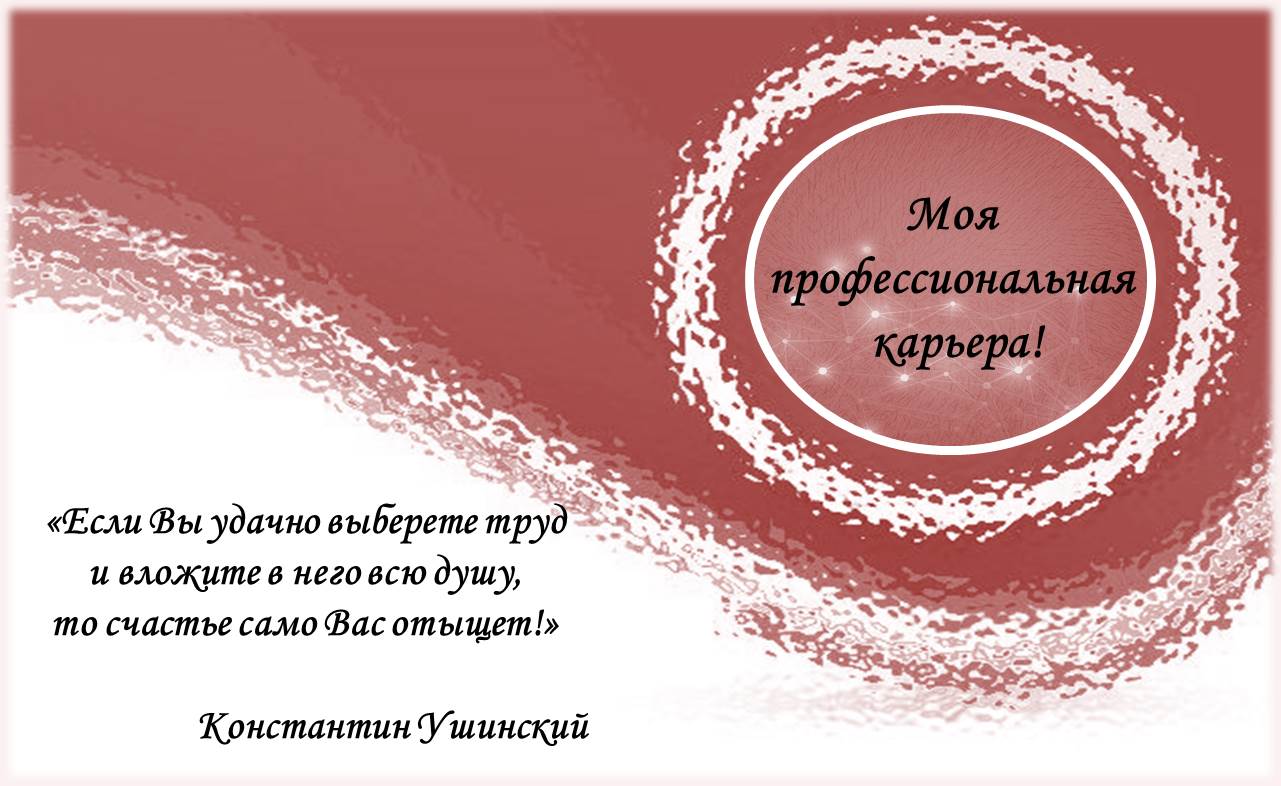 Моя профессиональная карьера