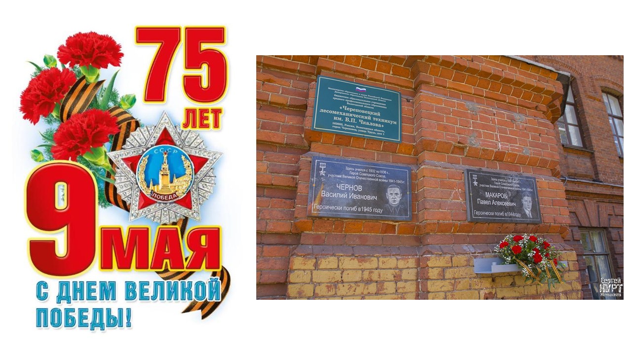 Презентация1